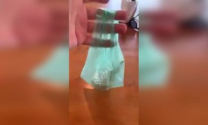 पाण्यात विरघळणारी कॅरी बॅग पिशवी खूप छान शोध लावला आहे..!!