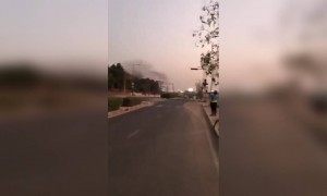 बघा निसर्गाची किमया पक्षी किती आनंदात उडत आहे..