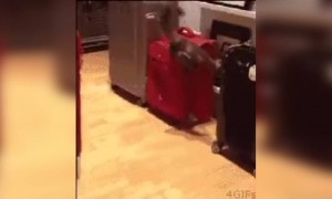 म्हणून नको तिथे नाक खुपसू नये...