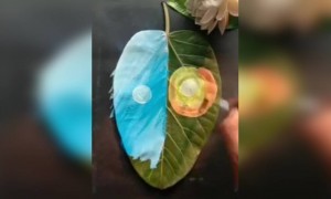 creativity बघा फक्त..!!!