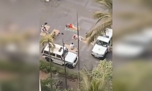 सलाम महाराष्ट्र पोलीसांना आपल्यामुळे यांना रस्त्यावर झोपावे लागते. आता तरी घरी थांबा....