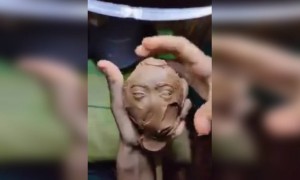 देश के Real हिरो को Salute.. अप्रतिम कलाकृती