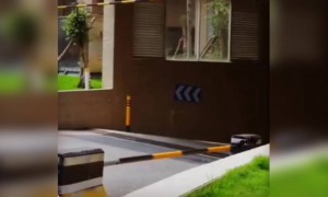 शेअर करा तुमच्या अश्या विचित्र मित्रांना..!!!