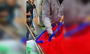 याचे किती बिल झाले असेल..?