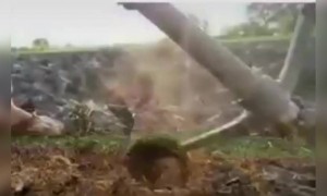 शेती हा खूप मोठा बिजनेस आहे,आपण शेती ,शेती म्हणून न करता बिजनेस म्हणून करायला पाहिजे..!!!