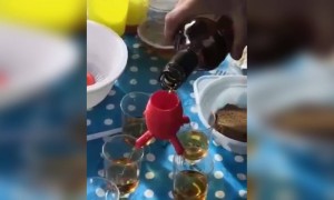 आता मित्रांमध्ये भांडण होणार नाही.