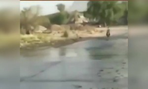 कोणता मित्र आहे का जो ह्याला तोड देऊ शकतो..!!