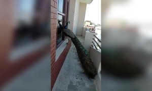 इतका मोकळे पणा कधीच पाहिला नव्हता..