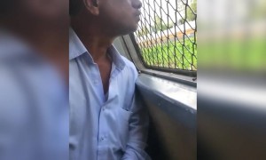 इंडियन कोबरा