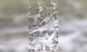 हा बीच कोणी कोणी अनुभवला आहे..