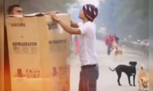 भाऊ खूप तापला असेल..!!