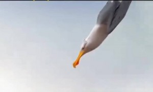 सर्वांचे विचार सारखे असतील तर काहीही शक्य आहेएकीचे बळ