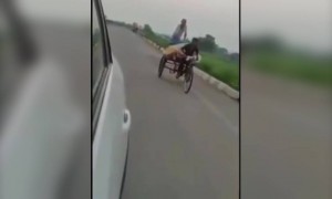 आई-वडिलांना सायकल रिक्षातून मूळगावी घेऊन निघाला ११ वर्षांचा मुलगा आजचा श्रावणबाळ