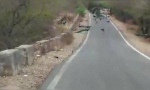 मनमोहक दृश्य पाहून तुम्ही लाईक केल्या शिवाय नाही राहू शकणार..!