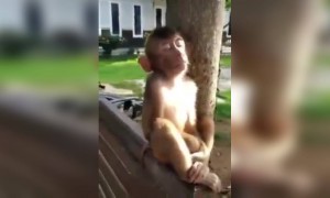 ऑफिसचा पहिला दिवस...