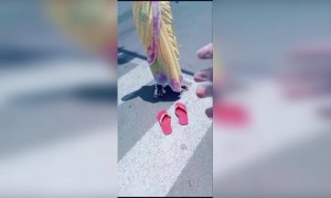 माणसांत अंतर ठेवा पंरतु मनात नको ..देव आज मंदिरात नाही तर माणसात आहे...म्हणुन माणुसकीला जपा .