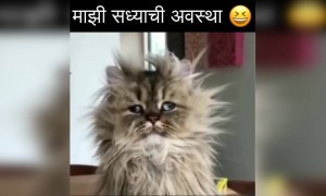 माझी सध्याची अवस्था..!!