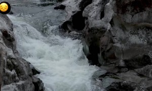 आपली स्वप्न सोडून अनिश्चित जागरणाकडे पायपीट करणा-या सर्व निर्वासित सजीवांना समर्पित...