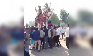 तुम्ही भरपूर काही असं पाहिलं असणार पण माझी गॅरेंटी आहे. तुम्ही असं पाहिलं नसणार...