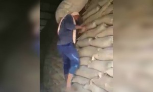 ही आहे खरी घाम गाळून केलेली मेहनत