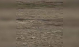 लढा शेवटच्या श्वासा पर्यंत.विजय आपलाच आहे.