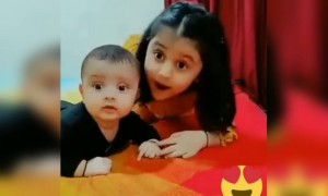 आजचा सगळ्यात सुंदर व्हिडिओ