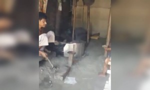 मेहनत करण्याची जिद्द ही बालपणापासुन रक्तात असावी लागते. मग ते क्षेत्र कोणतेही असो