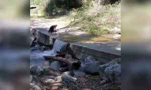 नशीब डोक्यावर नाही पडला