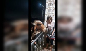 मैत्री असावी तर अशी मुक्या प्राण्यांन वर जीव लावून तर पहा नक्कीच तुम्हाला चांगला मित्र मिळेल