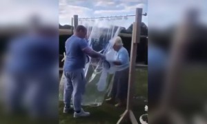 ब्रिटीश माणसाने आजीसह सामाजिकरित्या दूर असून मिठीमारण्यासाठी अशा पडद्याचा शोधत काढला