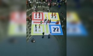 आज पाहू किती लुडो प्रेमी आहेत