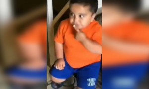 तुमच्या घरात पण अस मांजर आहे का..!!