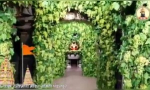 द्राक्षाच्या घडांनी सजविलेला विठ्ठल मंदिराचा गाभारा...!!