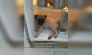 कडक उन्हाळा..!