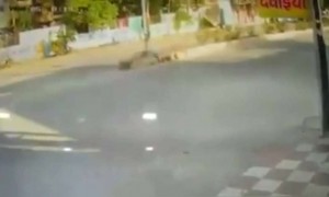 भावाचा नादच नाही करायचा..!!