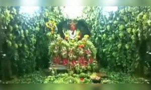 मार्तंड भैरव खंडेरायाला व संपूर्ण गाभाऱ्याला द्राक्षाची सजावट करण्यात आली
