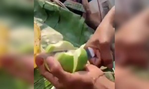 कोणा कोणाला असा मीठ मसाला लावलेला पेरू आवडतो 😋😋😋