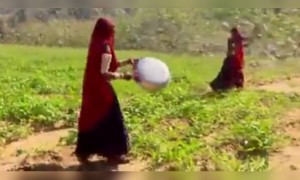 टोळधाड म्हणजे नेमकं काय असते ? त्यापासून काळजी कशी घ्यावी ? आपल्या सर्व शेतकरी बांधवांना हा व्हिडीओ पाठवा.