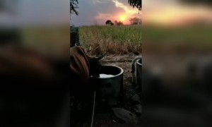 कोणा कोणाला आवडते अशी गावामधील सकाळ..!😍😍