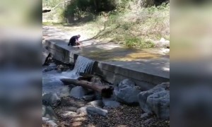 नशीब डोक्यावर नाही पडला 😜😂