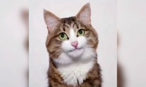 प्रत्येक ग्रुप मधील सेल्फी क्वीन 😜😂