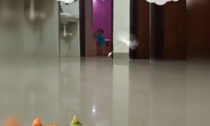 प्रत्येक मूल हे आपल्या आई वडिलांच्या राज्यातले अनभिषिक्त राजेच असतं