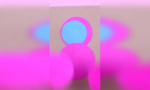 बर्ड पेपर आर्ट...