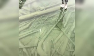 लेक स्केटिंग...