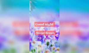 शुभ रात्री !!