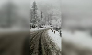 माझे प्रेम निसर्ग आहे...