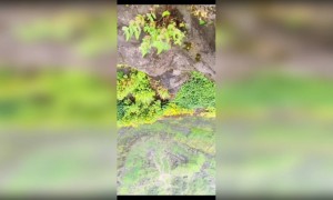 खरंच, तुम्हाला हे पटतंय का ?