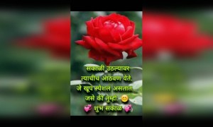 गुड मॉर्निंग.....