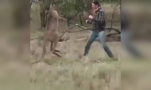 य फनी आहे