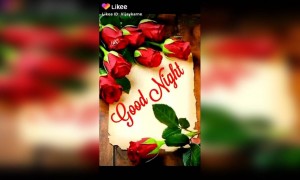 | शुभ रात्री |